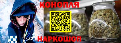 гидропоника Будённовск