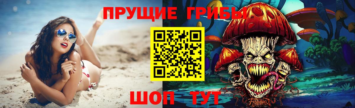 Псилоцибиновые грибы ЛСД  Псилоцибиновые грибы Psilocybine cubensis  Осинники  Вход с VPN 